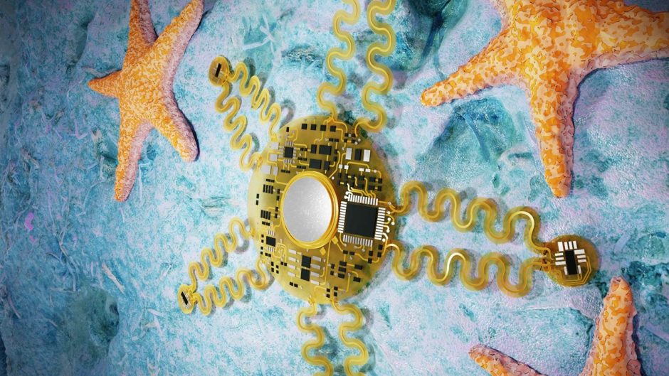 Graphic image of biological starfish surrounding a starfish wearable electronic device